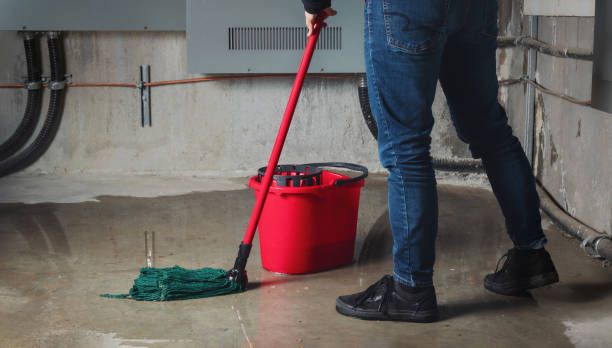 Best Sewage cleanup and water damage restoration  in Manistee, MI
