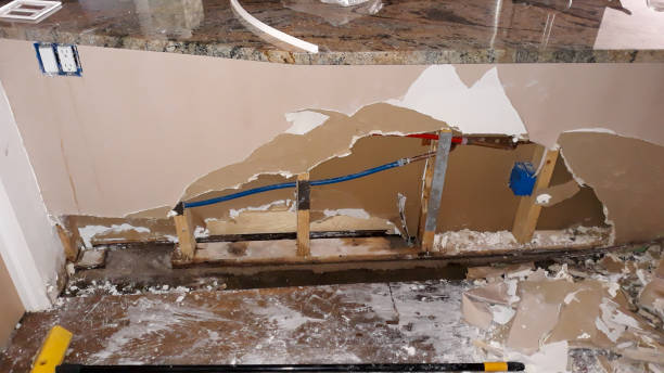 Best Mold removal after water damage  in Manistee, MI