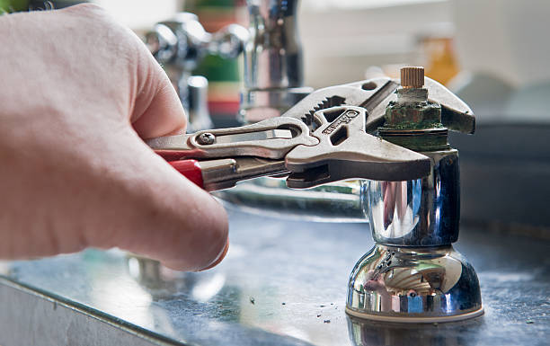 Best Professional water damage repair  in Manistee, MI